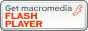 flash_playerDL